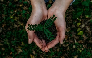 Hands carrying earth in nature