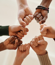 Seven fists united together